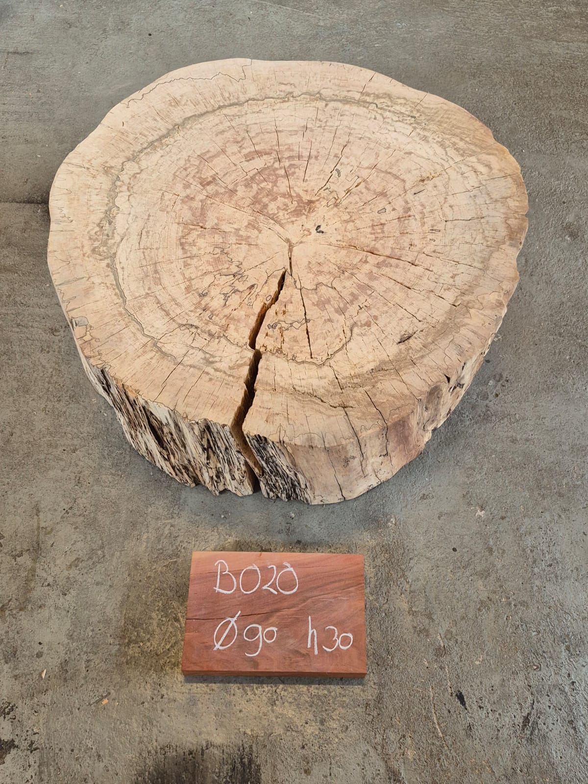 Beuken boomstamschijven - Afbeelding 19