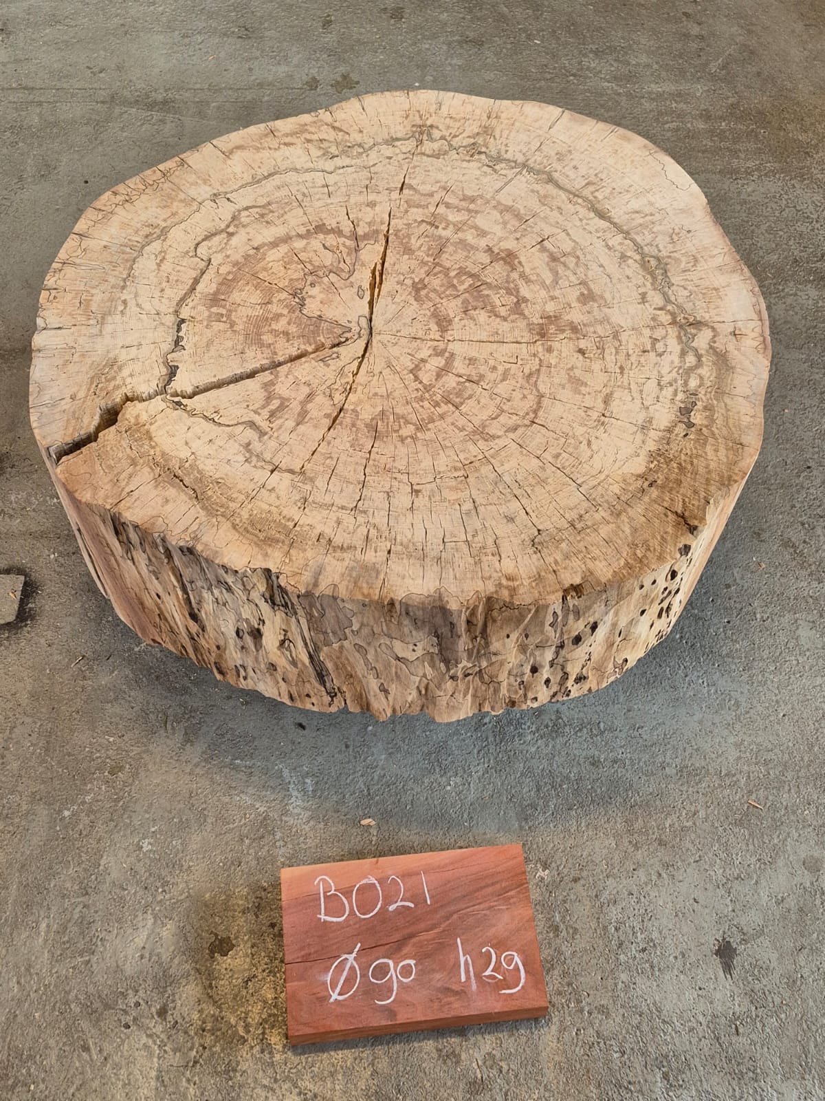 Beuken boomstamschijven - Afbeelding 20