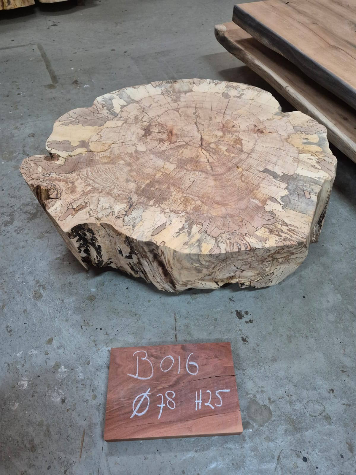 Beuken boomstamschijven - Afbeelding 15