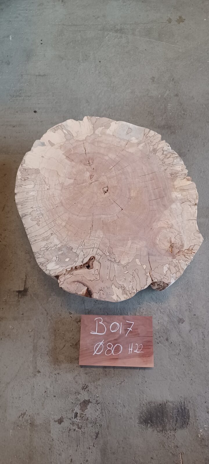 Beuken boomstamschijven - Afbeelding 16