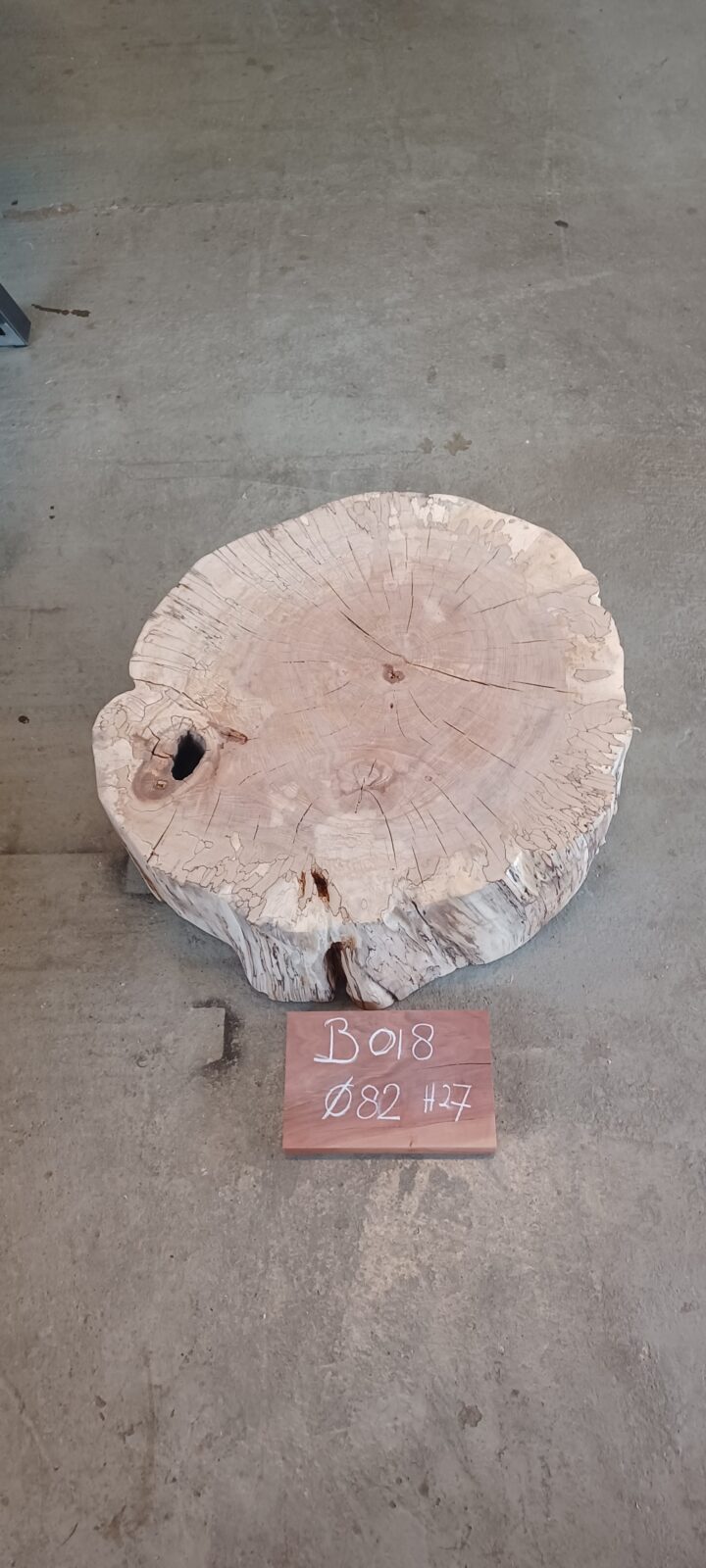 Beuken boomstamschijven - Afbeelding 17