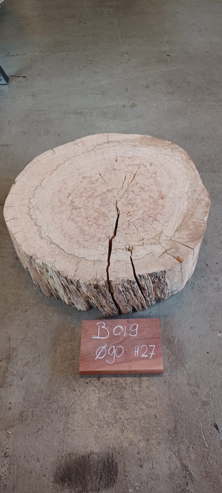 Beuken boomstamschijven - Afbeelding 18