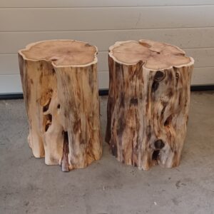 Different Tree Trunks